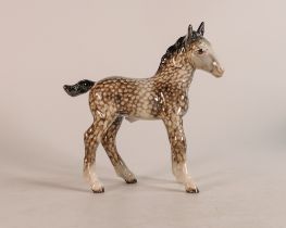 Beswick Rocking Horse Grey Shire foal, model no. 951, early example with blue highlights to head