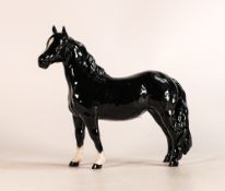 Rare Beswick black gloss Pinto pony 1373, first version. Good condition, no factory back stamp.