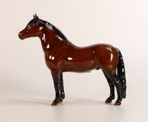 Beswick Dartmoor pony 1642