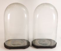 Pair of 19th century glass domes suitable for taxidermy or figure groups, height of each dome 49cm x