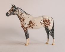 Beswick Appaloosa horse 1772A, first version.