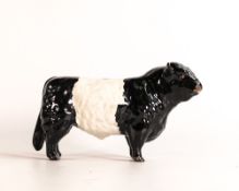 Beswick rare Belted Galloway bull 1746B in good condition.