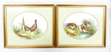 Two hand painted oval porcelain plaques decorated by E J Garnett. Frame size 33.5cm x 39.5cm