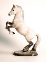 Beswick model of a rearing Welsh Cob in grey gloss, 1014, minute chip to base edge and some light