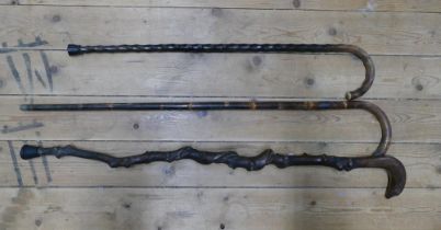 Three Victorian and later walking sticks to include gnarled example with glass eyed dogs head