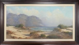 D Bianchina (SOUTH AFRICAN 20th century) Framed oil painting, seascape, measuring 60cm x 120cm