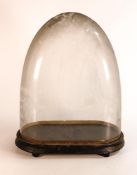 Victorian oval glass dome suitable for taxidermy / figure group, height 35cm width 30cm & depth 14.