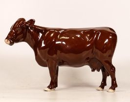 Beswick redpoll cow 4111, marked seconds