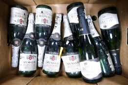 A collection of Sumanti Sweet Sparkling Wine & Arestel Brut Cava (8)
