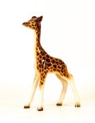 Beswick Small Giraffe 973