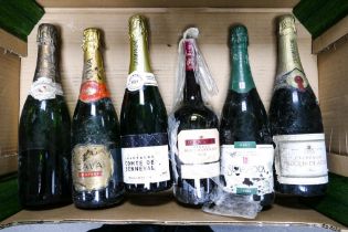 A mixed collection of wines to include Lheureux Saintot , Sumarroca Cava, Menard Pineau Des