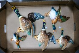 A set of three Falcon ware flying mallard duck wall plaques together with two Beswick flying