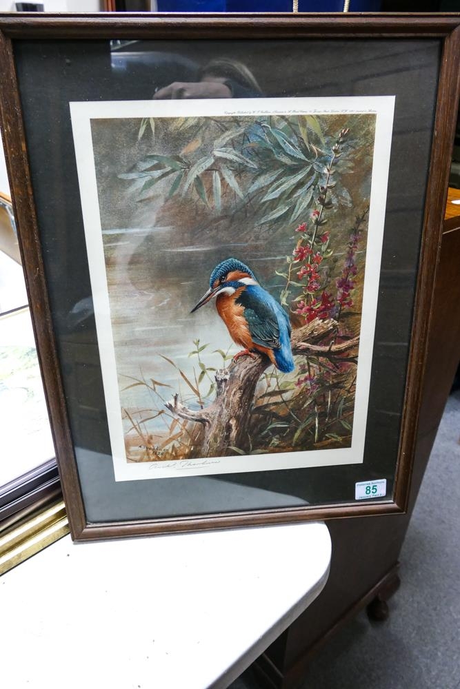 Archibald Thorburn print The Kingfisher, artist signed proof. Frame size 53cm x 40.5cm