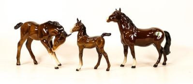Beswick Foals to include large head down 947, pony head up 1197 & arab 1407(3)