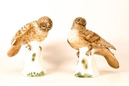 Two Crown Staffordshire Matt Bird Figures of a Hawk Owl , height 18.5cm(2)