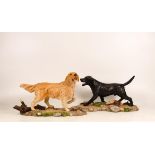 Unmarked figures of black Labrador and Golden Retriever