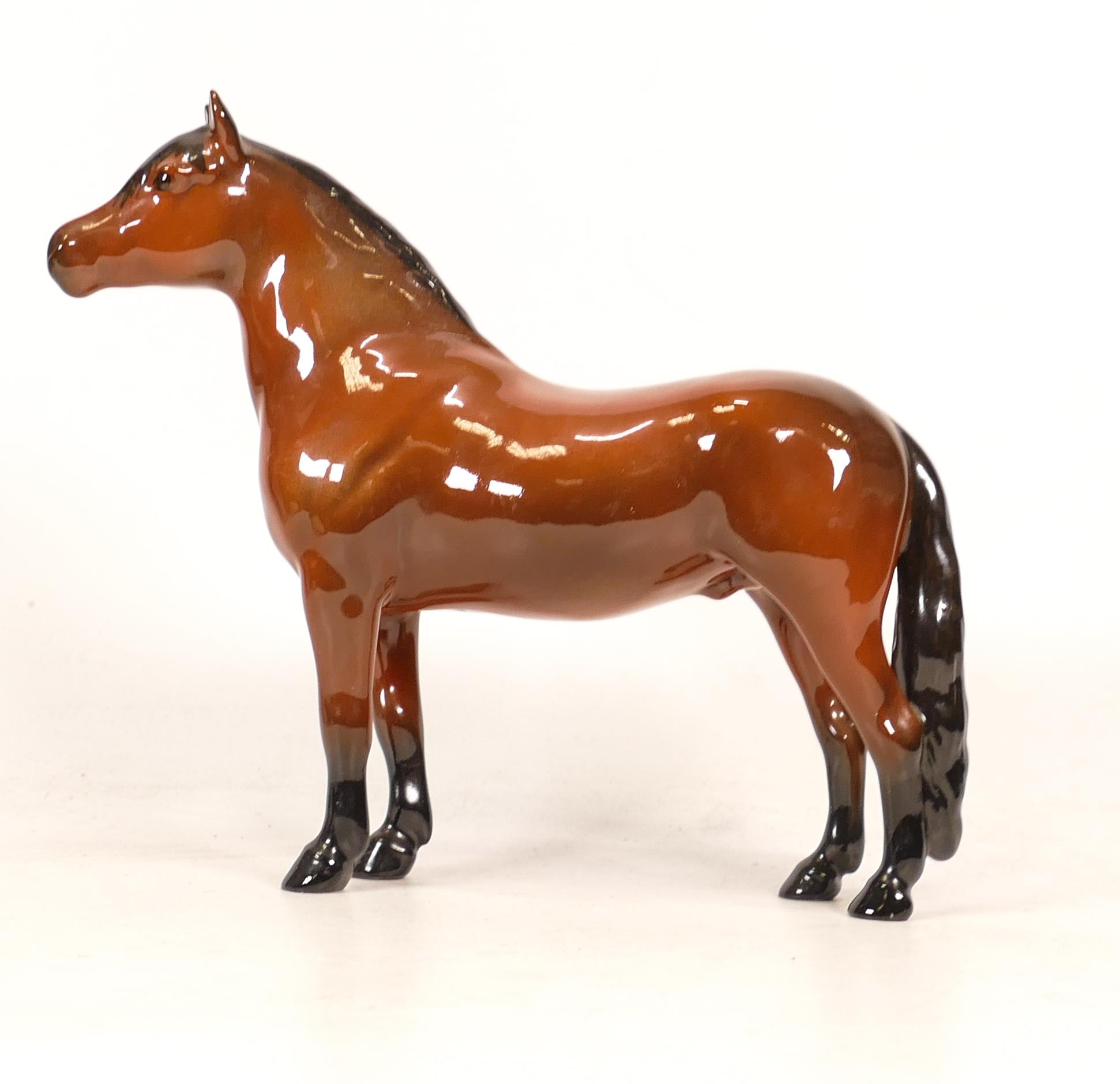 Beswick Dartmoor Pony 'Warlord' model 1642