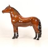 Beswick Dartmoor Pony 'Warlord' model 1642