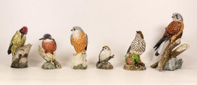 A Collection of Six J. Mack Ceramic Bird Figures to include Kestrel, Green Woodpecker, Kingfisher