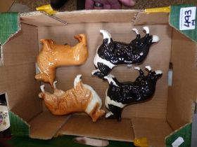 Beswick dog figures to include 2 Border collies, 1 rough collie & 1 corgi (4)