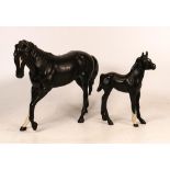 Beswick Black Beauty & Foal(2)