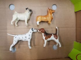 A collection of Beswick small dog figures to include Corgi, Beagle, Dalmation & Pug (4)