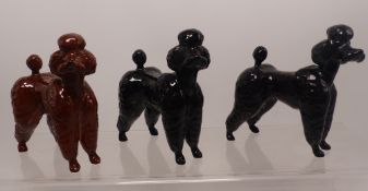 Three Beswick small poodles, black and brown (3)