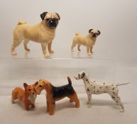 A group of 5 Beswick dogs figures consisting of a pug in small and large sizes, corgi, Airedale