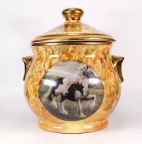 Huge Romany Gypsy Tureen in Brushed Pattern and Gilt. All four sides feature a transfer printed