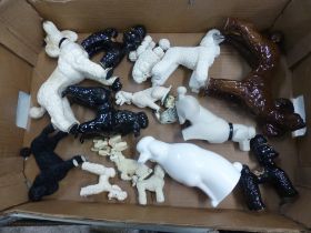 A collection of ornamental poodles seated and standing, ceramic and resin, various colourways (1
