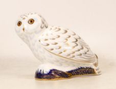 Royal Crown Derby Boxed Paperweight Snowy Owl for Collectors Guild
