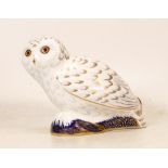 Royal Crown Derby Boxed Paperweight Snowy Owl for Collectors Guild