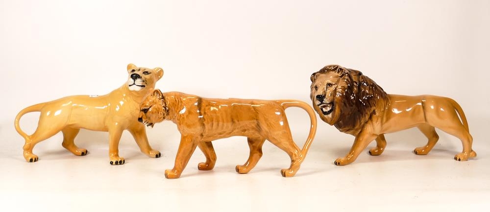 Beswick Lion Family Figures to include Lion 2087, Lioness Facing Right 1507 and Lioness Facing Left.