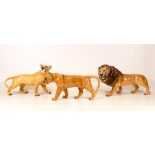 Beswick Lion Family Figures to include Lion 2087, Lioness Facing Right 1507 and Lioness Facing Left.