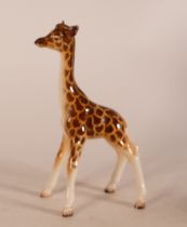 Beswick baby Giraffe 853