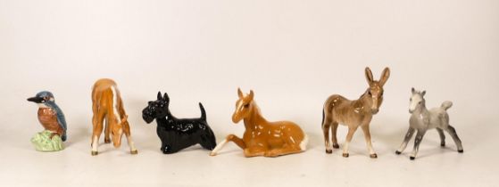 A collection of beswick animals to include Scottie dog 2037, kingfisher, palomino foal 915, palomino