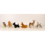 A collection of beswick animals to include Scottie dog 2037, kingfisher, palomino foal 915, palomino