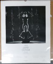 Large UNIPART 1993 year calendar, photographer Patrick Lichfield (Lord Snowdon). 53cm x 42cm