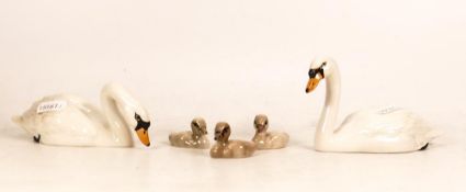 Beswick Swans & Signets 1685 & 1684(5)(nip to tail of one swan)