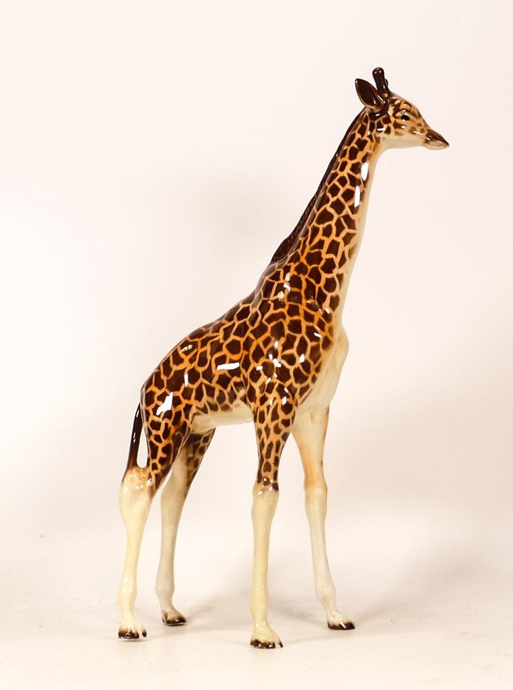 Beswick Large Model of a Giraffe 1631