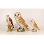 Beswick Birds to include 1046 large Barn Owl, Kestrel 2316 & similar smaller owl(3)