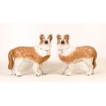 A Pair of Victorian Fireside Dogs with Gilt Collars. Height: 18cm (2)