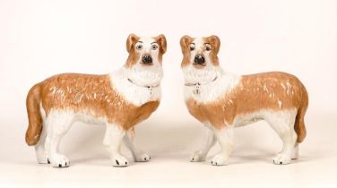 A Pair of Victorian Fireside Dogs with Gilt Collars. Height: 18cm (2)