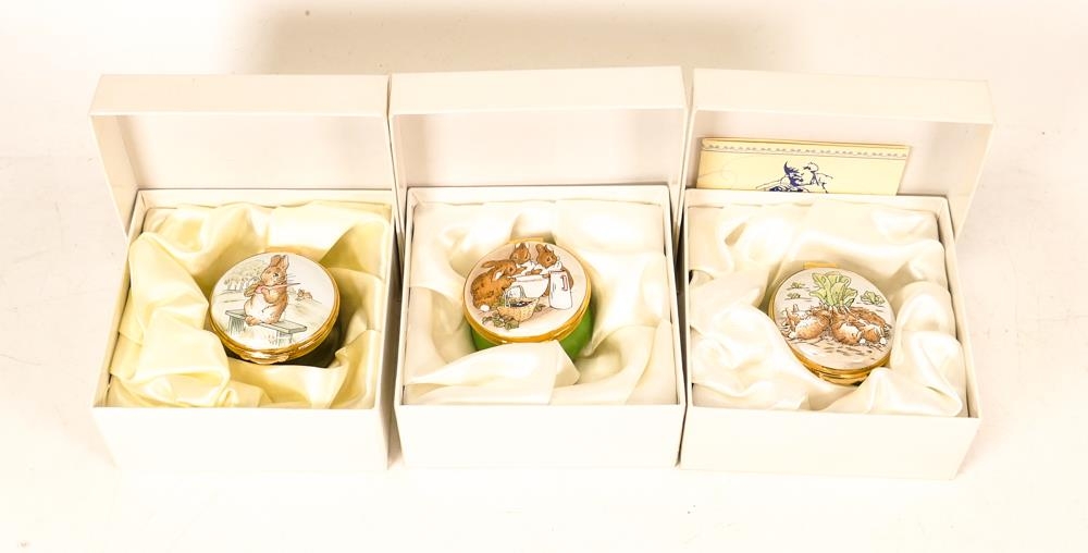 Three Beatrix Potter Crummles English Enamels to include Fierce Bad Rabbit BP58, Flopsy, Mopsy and - Image 2 of 6