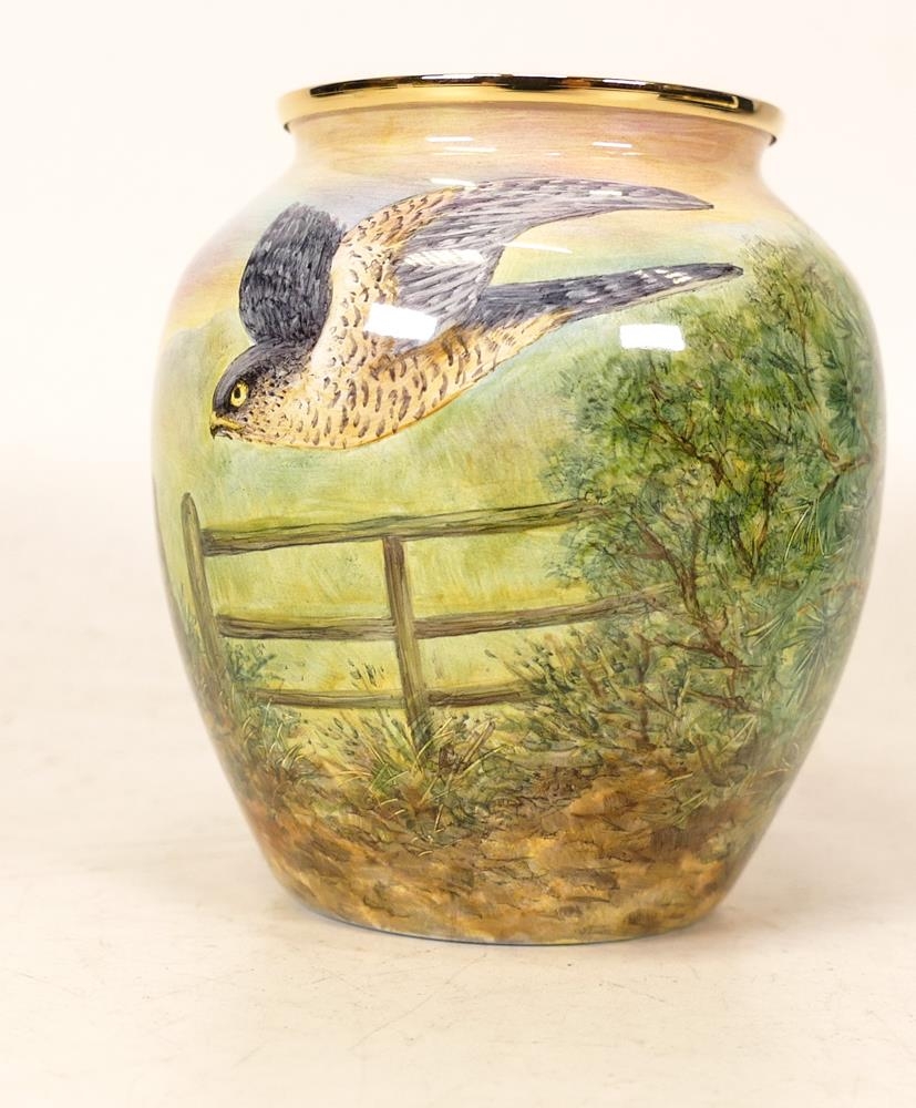 Moorcroft enamel Sparrow Hawk vase by Terry Halloran, Limited edition 6/25. Boxed with - Image 3 of 7