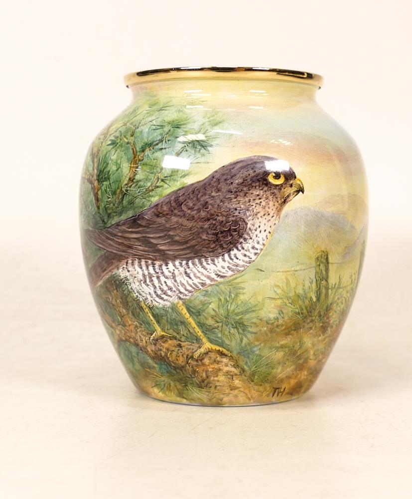 Moorcroft enamel Sparrow Hawk vase by Terry Halloran, Limited edition 6/25. Boxed with - Image 2 of 7