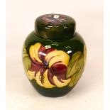 Moorcroft Hibiscus large ginger jar on green background. Height 20cm. lid stuck down