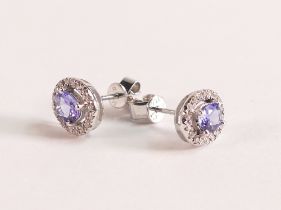 14ct White Gold oval Tanzanite and Diamond Halo Stud Earrings. Purple oval cut Tanzanite 4.8mm.