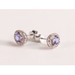 14ct White Gold oval Tanzanite and Diamond Halo Stud Earrings. Purple oval cut Tanzanite 4.8mm.