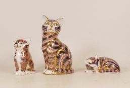 Royal Crown Derby paperweights to include Imari Seated Cat, Seated Kitten and Sleeping Kitten. All